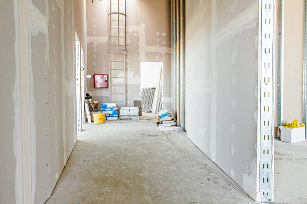 Best Biohazard Mold Removal  in Crystal River, FL