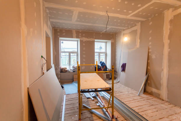 Reliable Crystal River, FL Mold Removal Solutions